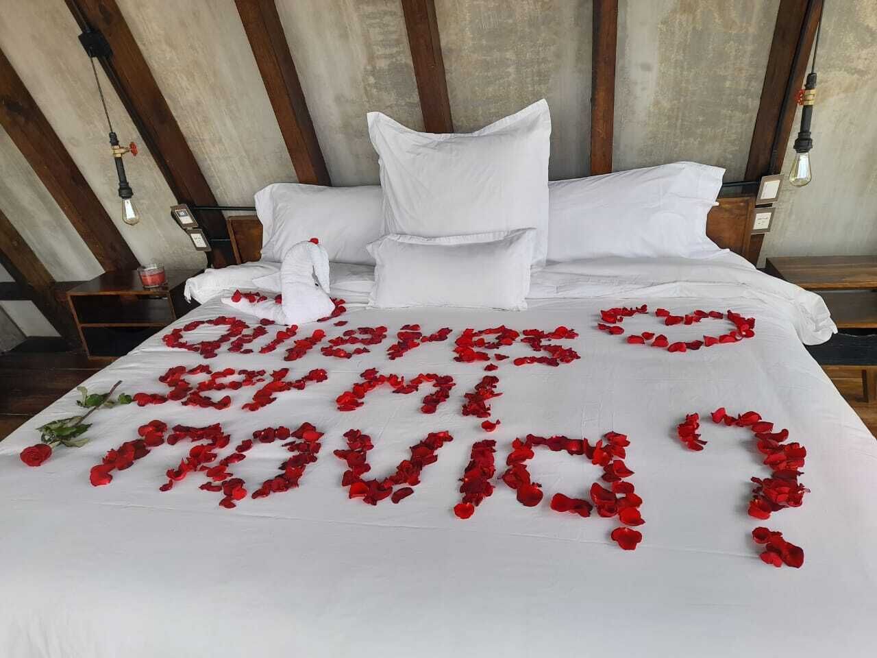 Selimut bulu angsa dan minibar