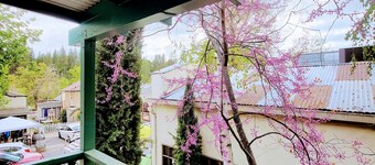 Terrace On Main Street