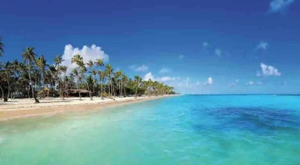 Une plage avec une eau turquoise et limpide et des palmiers.
