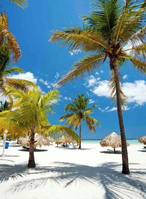 Playa