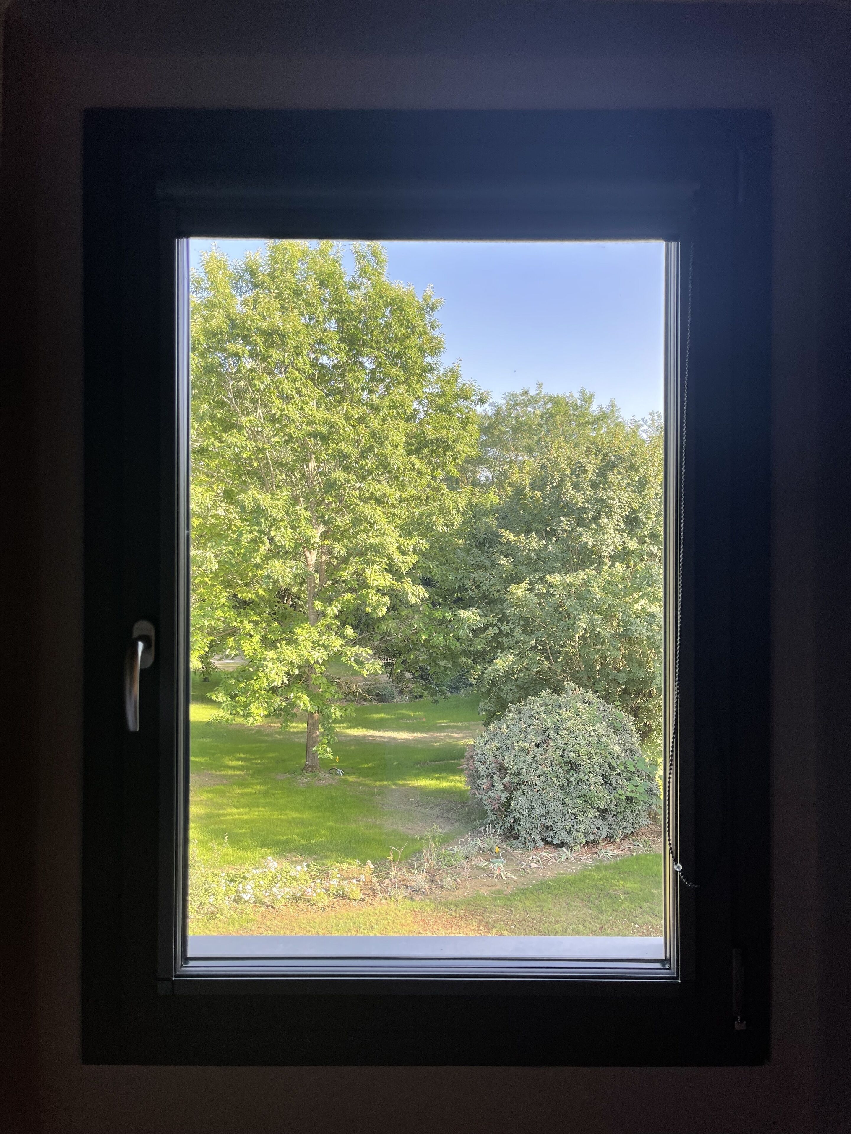 A window with a view of a grassy area and trees.