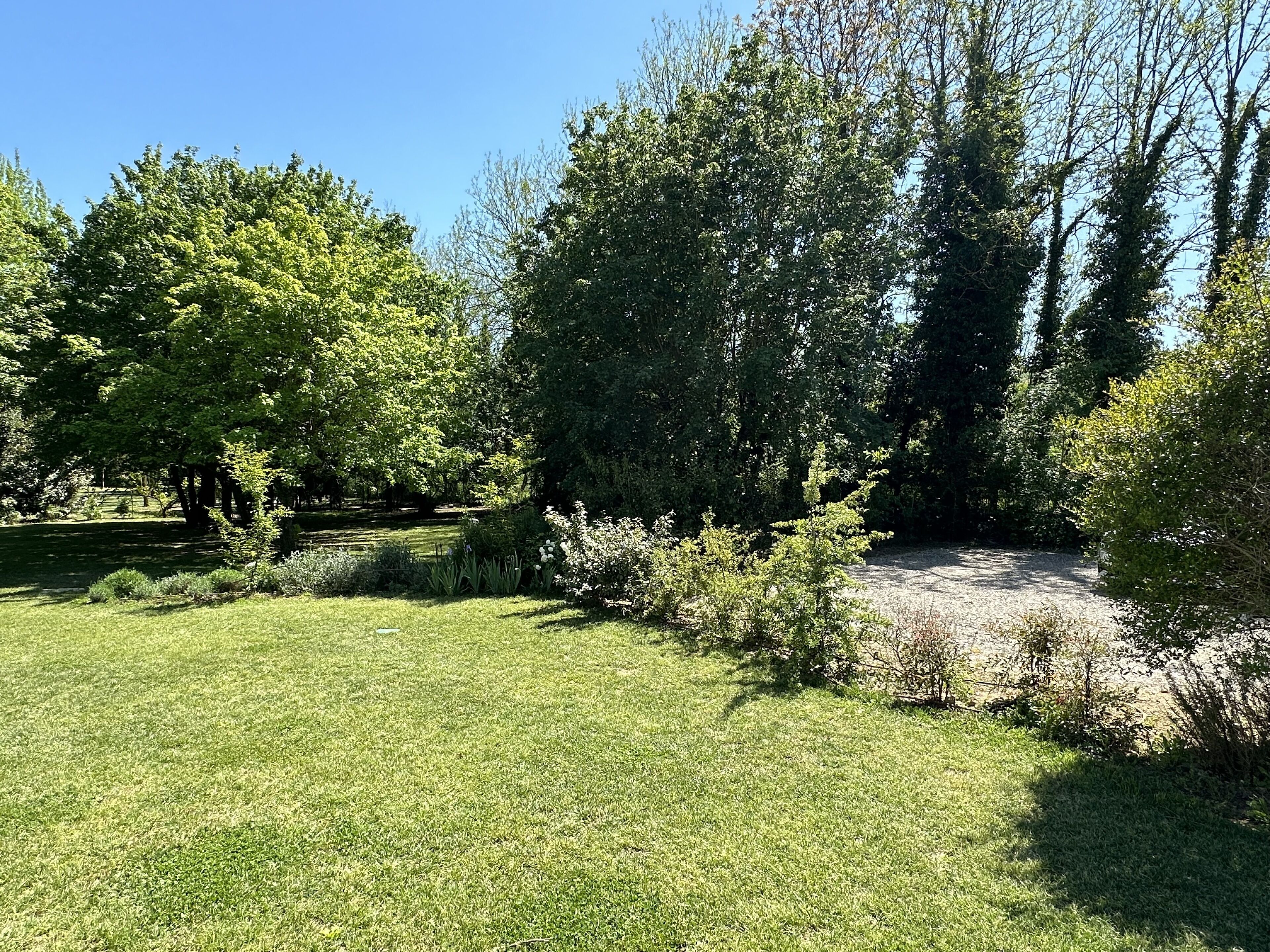 A well-maintained grassy area with trees and shrubs, likely part of a park or garden setting.