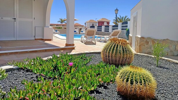 Area piscina con lettini, un giardino di cactus e un edificio con facciata bianca e ingresso ad arco.