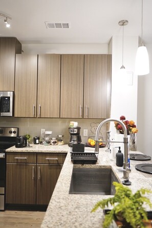 Private kitchen - Lavish 2Bd/2Ba- IAH Area (Houston)