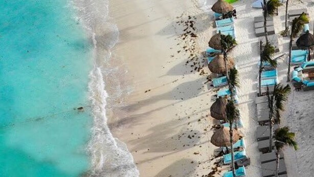 Eine Vogelperspektive zeigt einen Strand mit Reihen von Liegestühlen und Reetdachschirmen, ein klares türkisblaues Meer und einen sandigen Uferbereich.