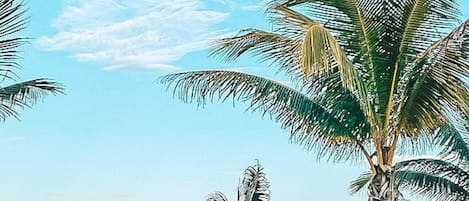 Beach nearby, beach towels