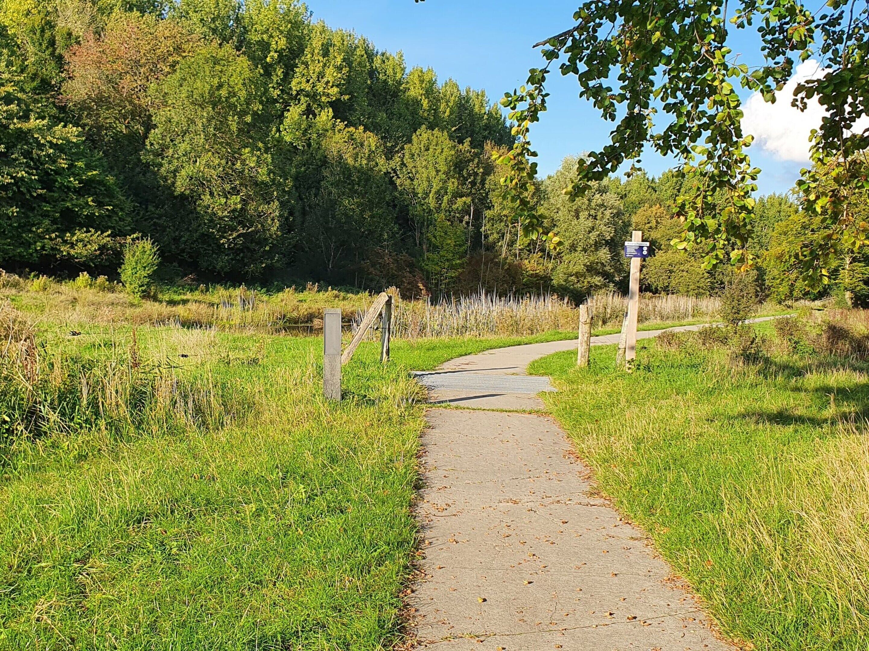 Um caminho pavimentado em um parque, com áreas gramadas e árvores.