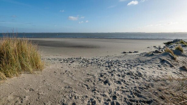 Une plage avec du sable, de l’herbe et un ciel dégagé.