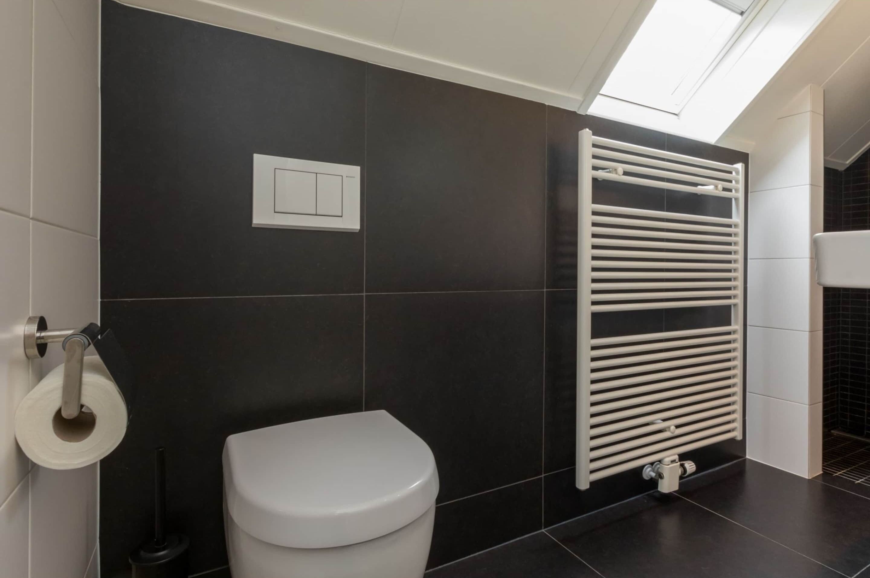 A modern bathroom with a toilet, a towel rack, and a skylight.