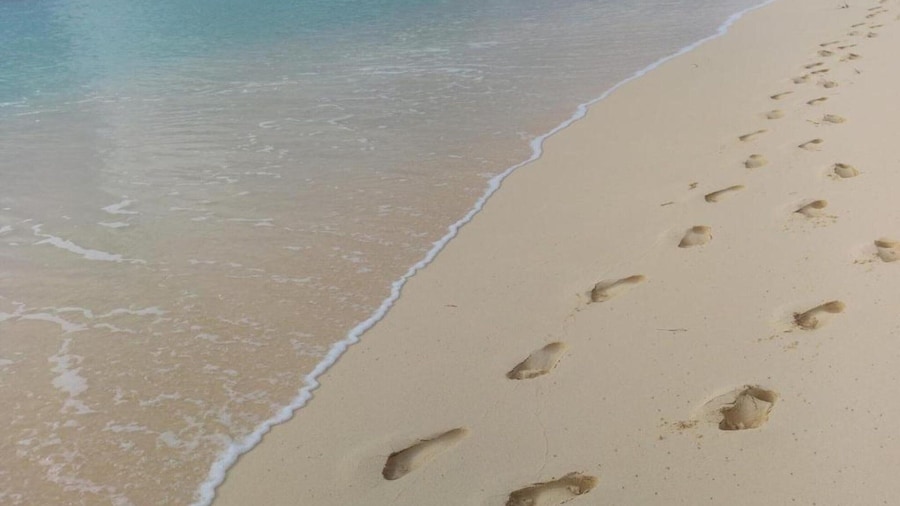 Home Zoutelande Near Beach