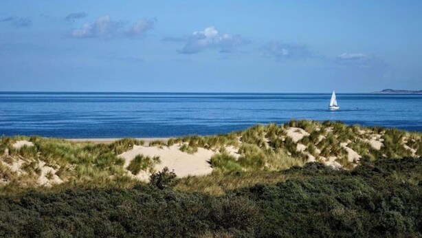 A coastal landscape with a sandy beach, grassy dunes, and a sailboat on the water.