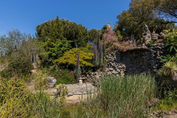 Apartemen | Pemandangan dari properti