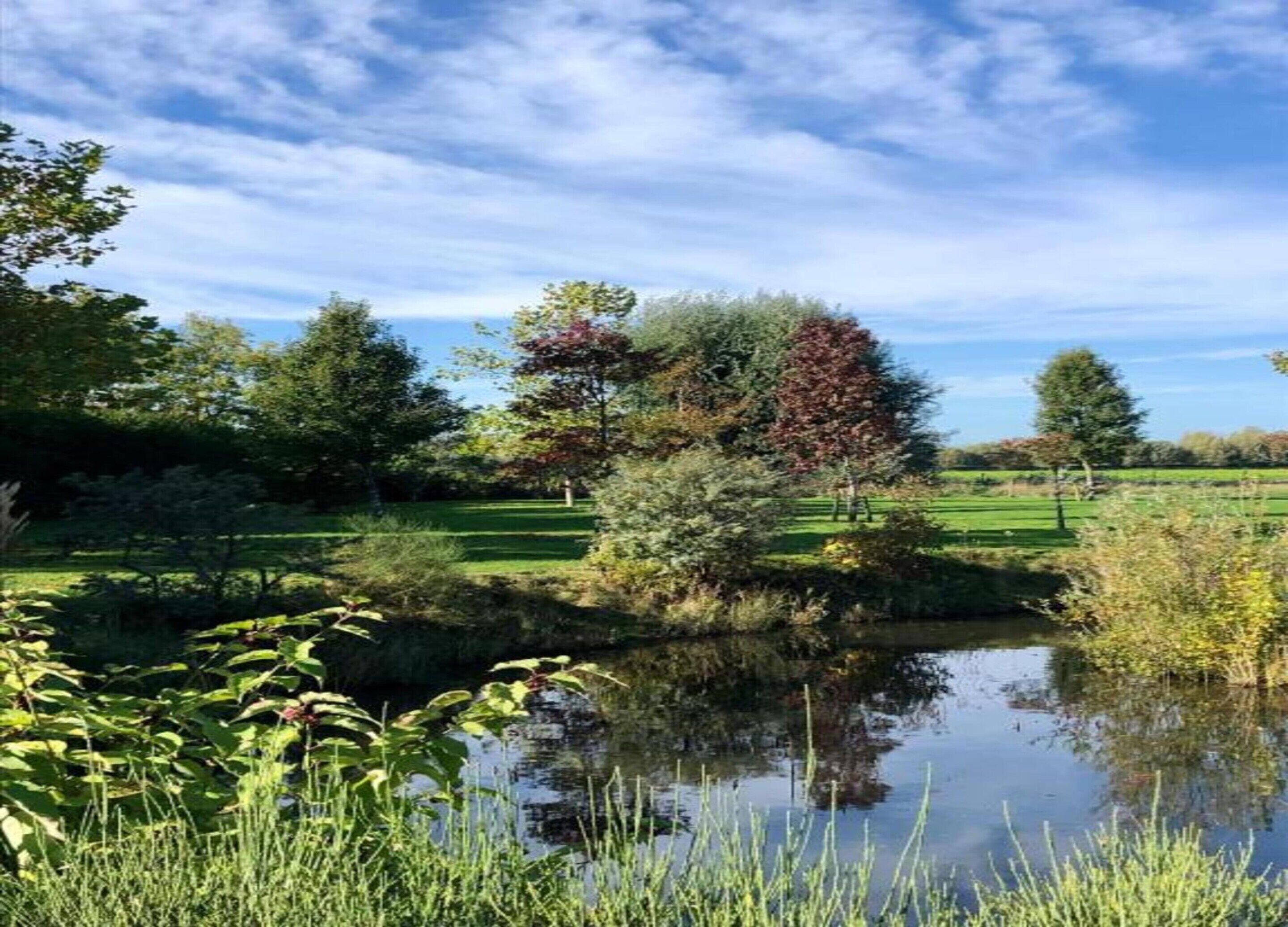 A serene landscape with a pond, lush greenery, and a clear sky.