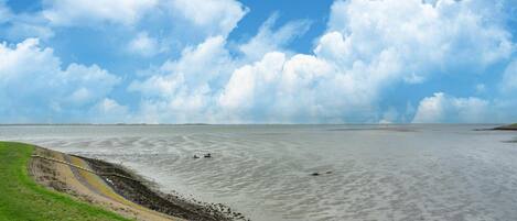Casa | Vista desde la propiedad