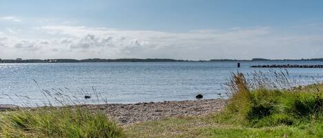 House | View from property