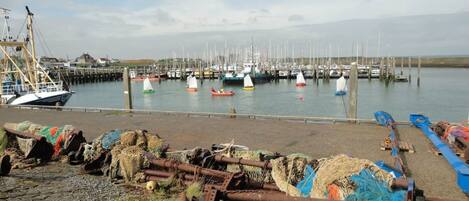 House | View from property