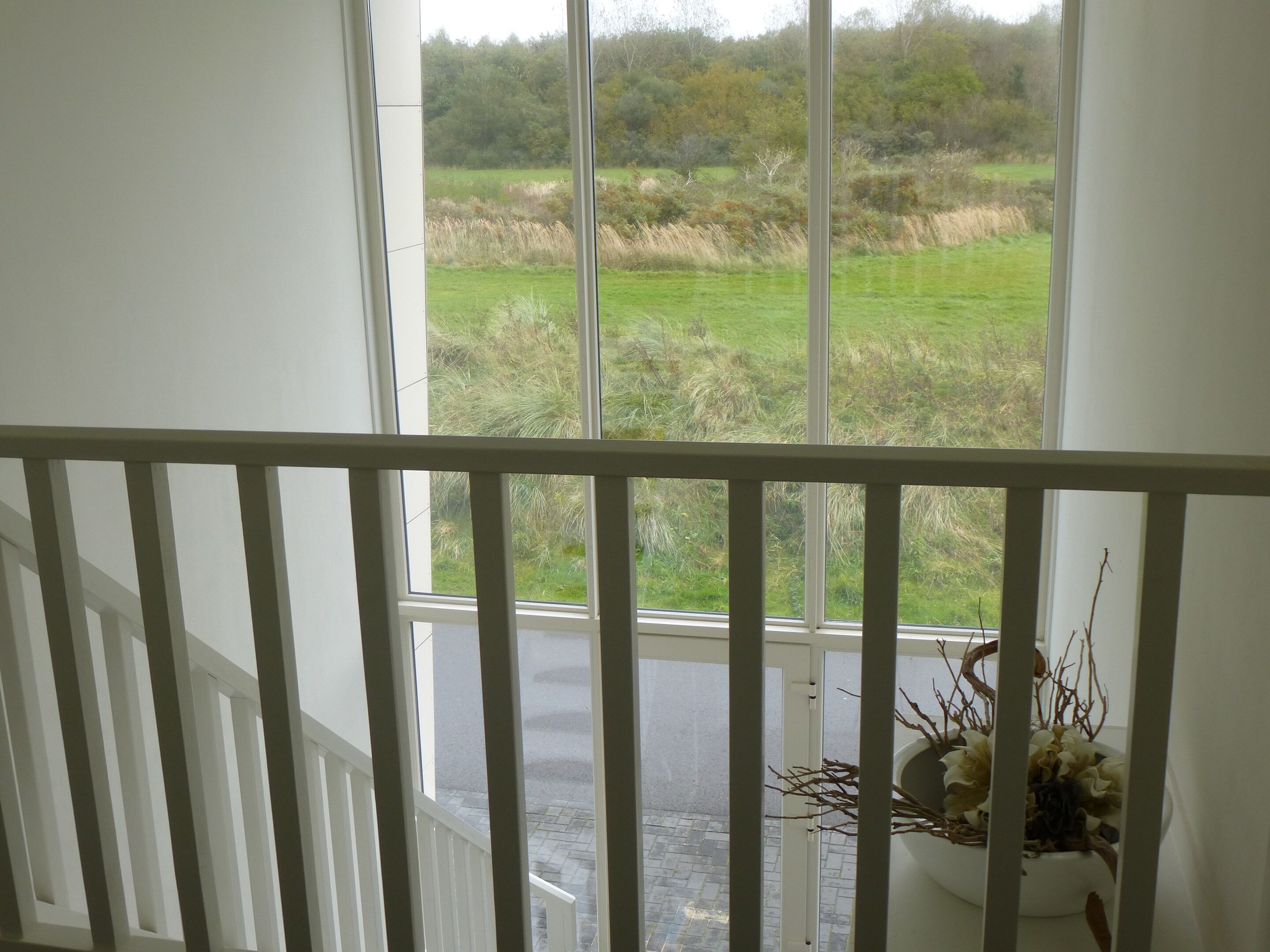 Une vue depuis une fenêtre ornée d’une balustrade blanche, donnant sur un champ verdoyant et des arbres.