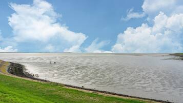 House | View from property