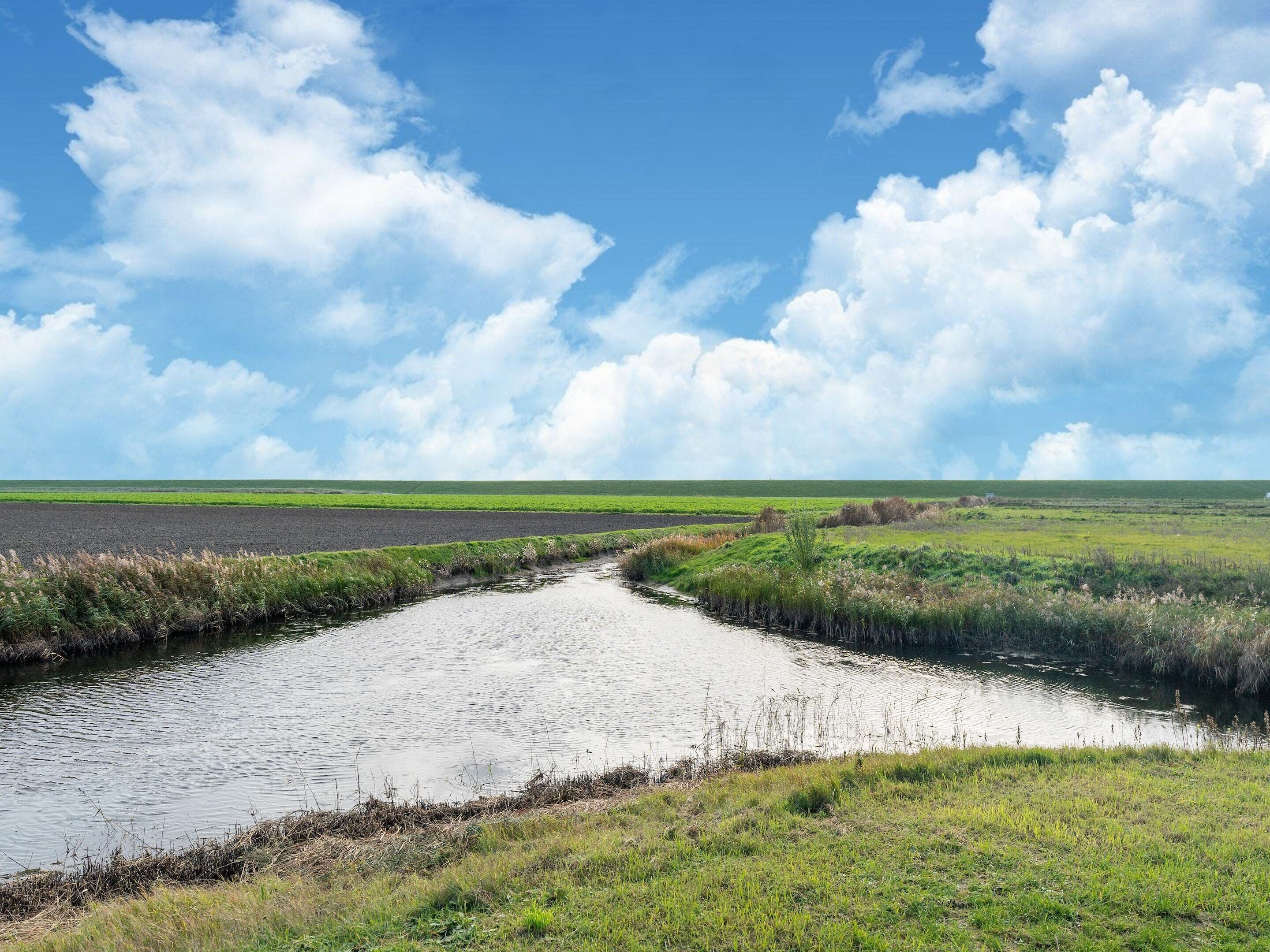 Un río serpentea a través de un paisaje llano con campos verdes y un cielo azul despejado.