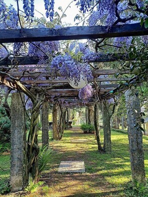 A pergola with purple flowers, surrounded by trees and a grassy path. - Villa Nausica: An elegant and welcoming three-story villa surrounded by a large private park in the hills of Brianza, with Free WI-FI. (Sirtori)