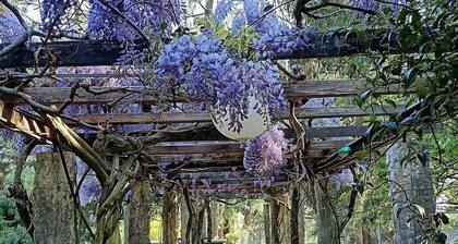 Villa Nausica: An elegant and welcoming three-story villa surrounded by a large private park in the hills of Brianza, with Free WI-FI.