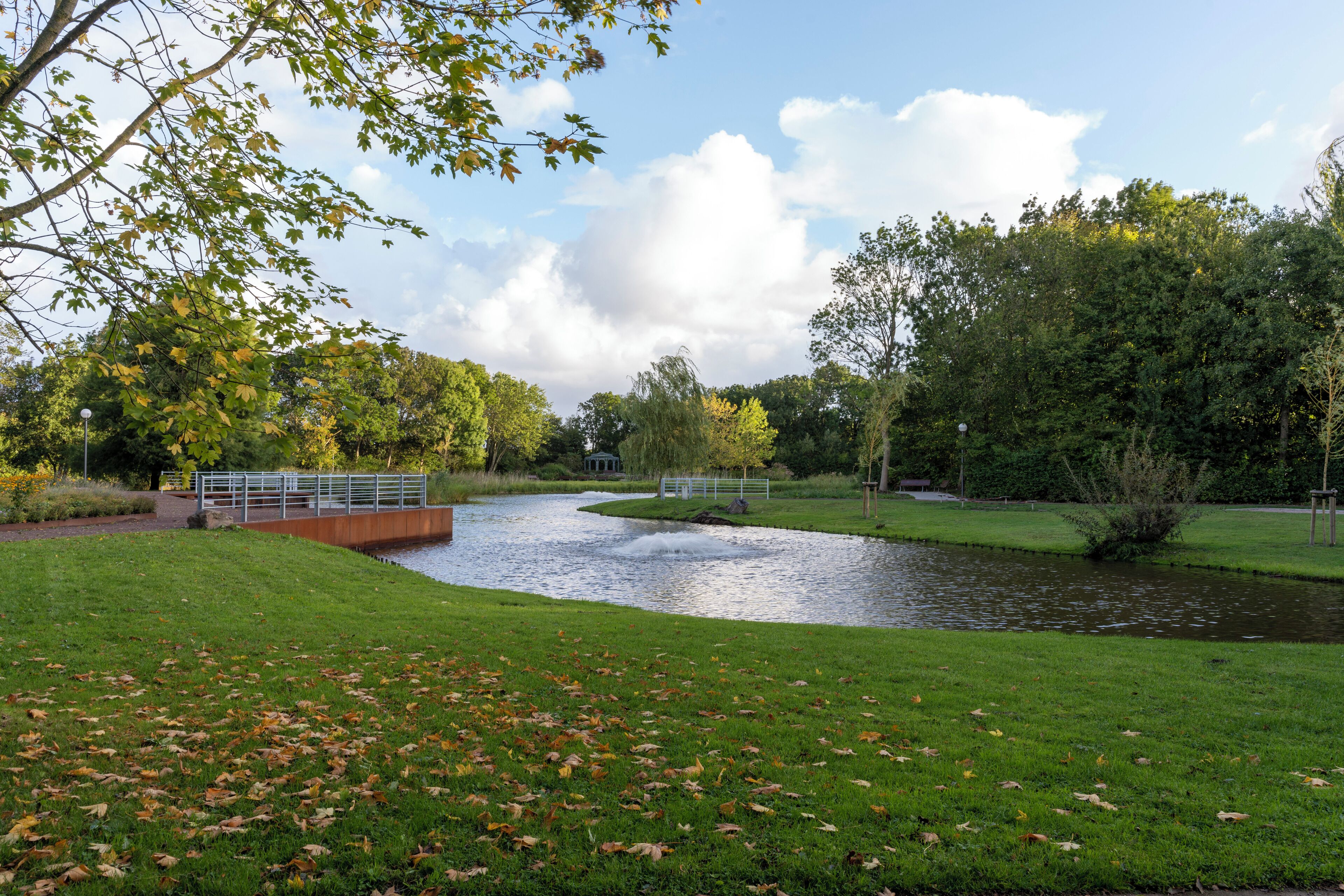 A park with a pond, a bridge, and a pathway.