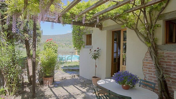 Une terrasse avec une table et des chaises, entourée de plantes en pot et agrémentée d’une pergola couverte de plantes grimpantes.