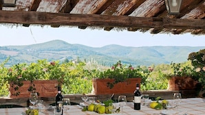 Ein Essbereich im Freien mit einem Tisch für zwei Personen, umgeben von Blumentöpfen und Blick auf eine malerische Berglandschaft.
