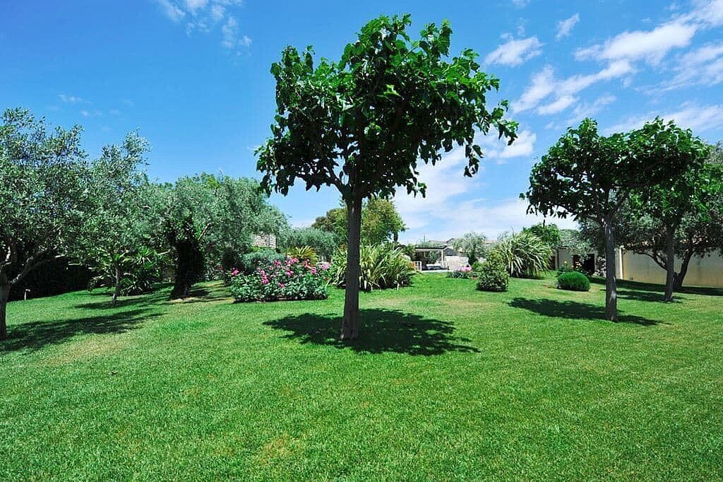 Um jardim bem cuidado com diversas árvores e arbustos, céu azul límpido e gramado aparado.