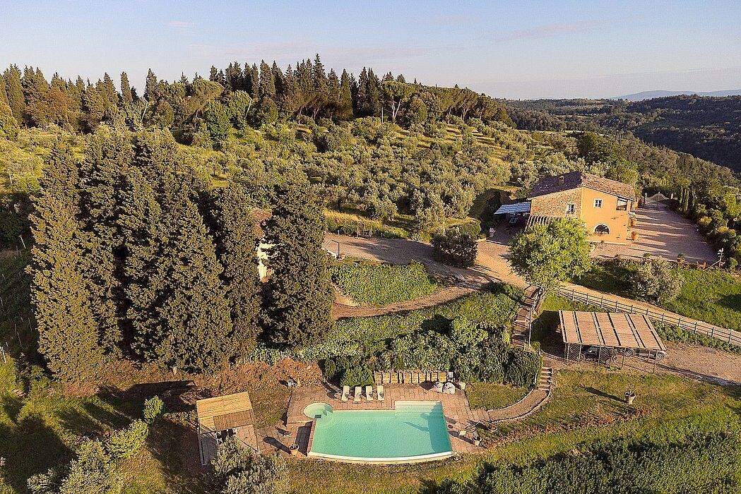 A large property with a swimming pool, a guesthouse, and a vineyard.