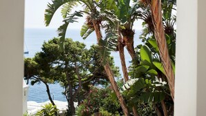 Vista a través de un ventanal arqueado de plantas tropicales y una masa de agua.