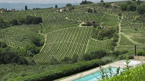 A vineyard with terraced fields and a swimming pool.