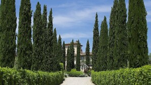 A pathway leading to a building surrounded by tall, narrow trees.