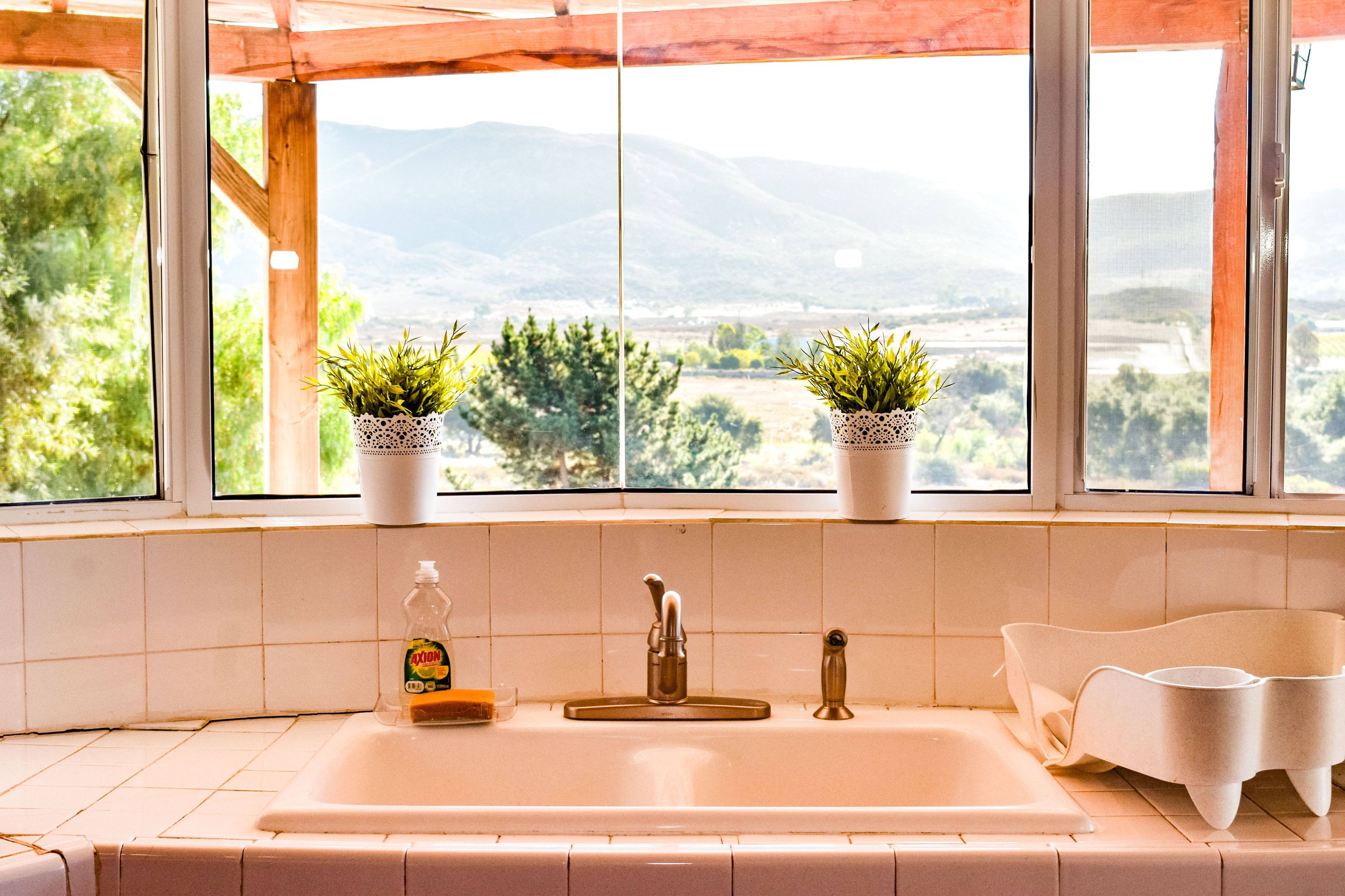 A kitchen with a sink, two potted plants, a bottle of dish soap, and a window with a view of mountains and trees.