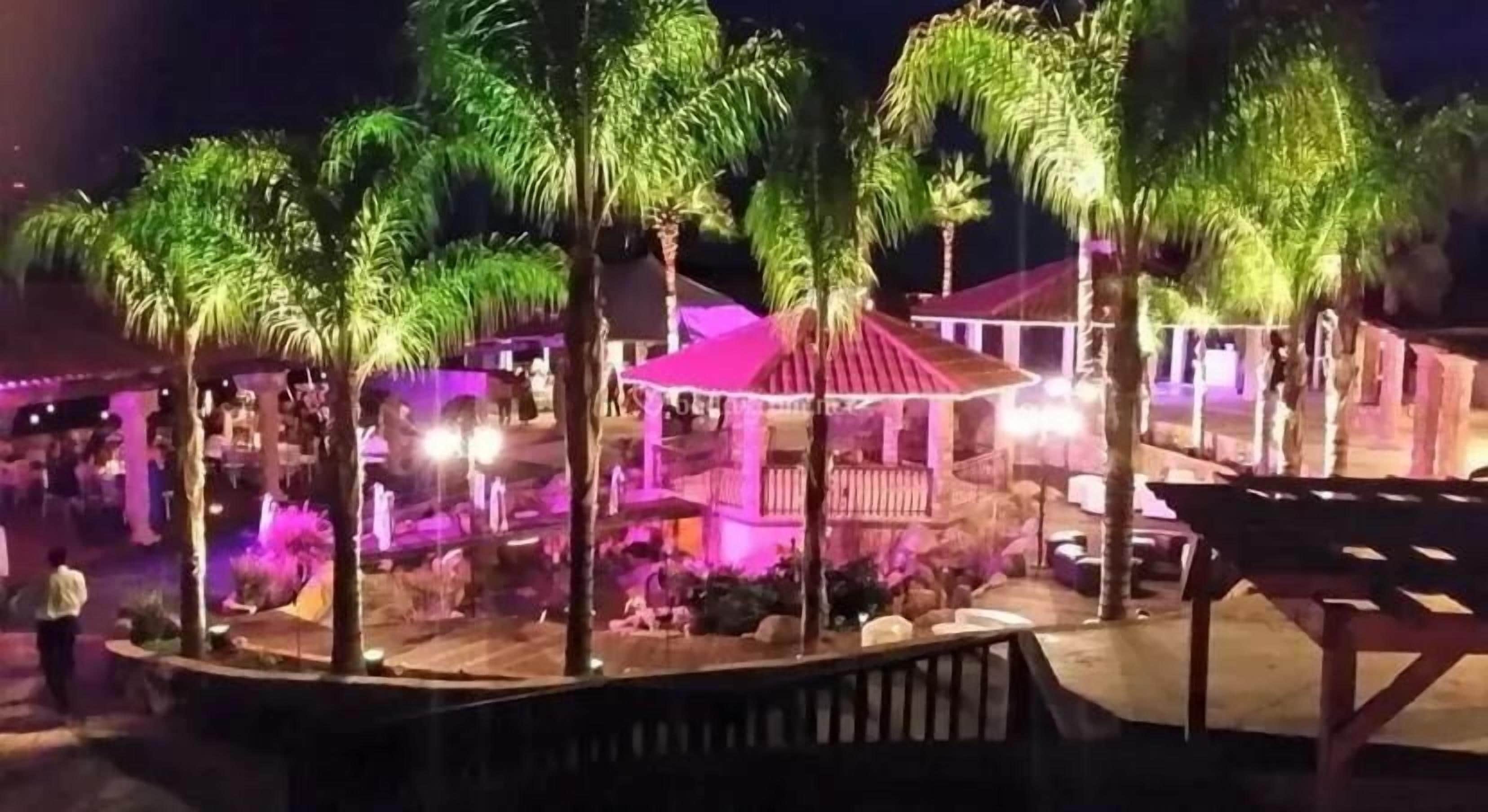 Un espacio al aire libre de noche con palmeras, una zona cubierta para sentarse y una piscina.