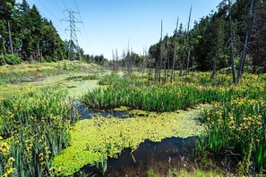 Miscellaneous - Executive Studio with Ocean & Mountain Views (Nanaimo)
