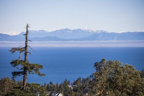 Unclassified image, 5 of 33, button - Executive Studio with Ocean & Mountain Views (Nanaimo)