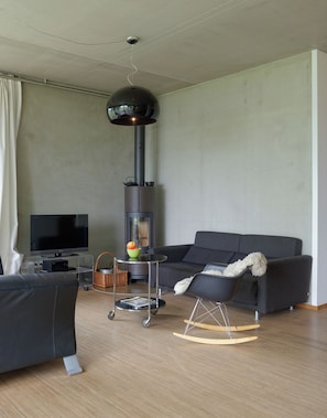 Smart TV, fireplace, books, stereo