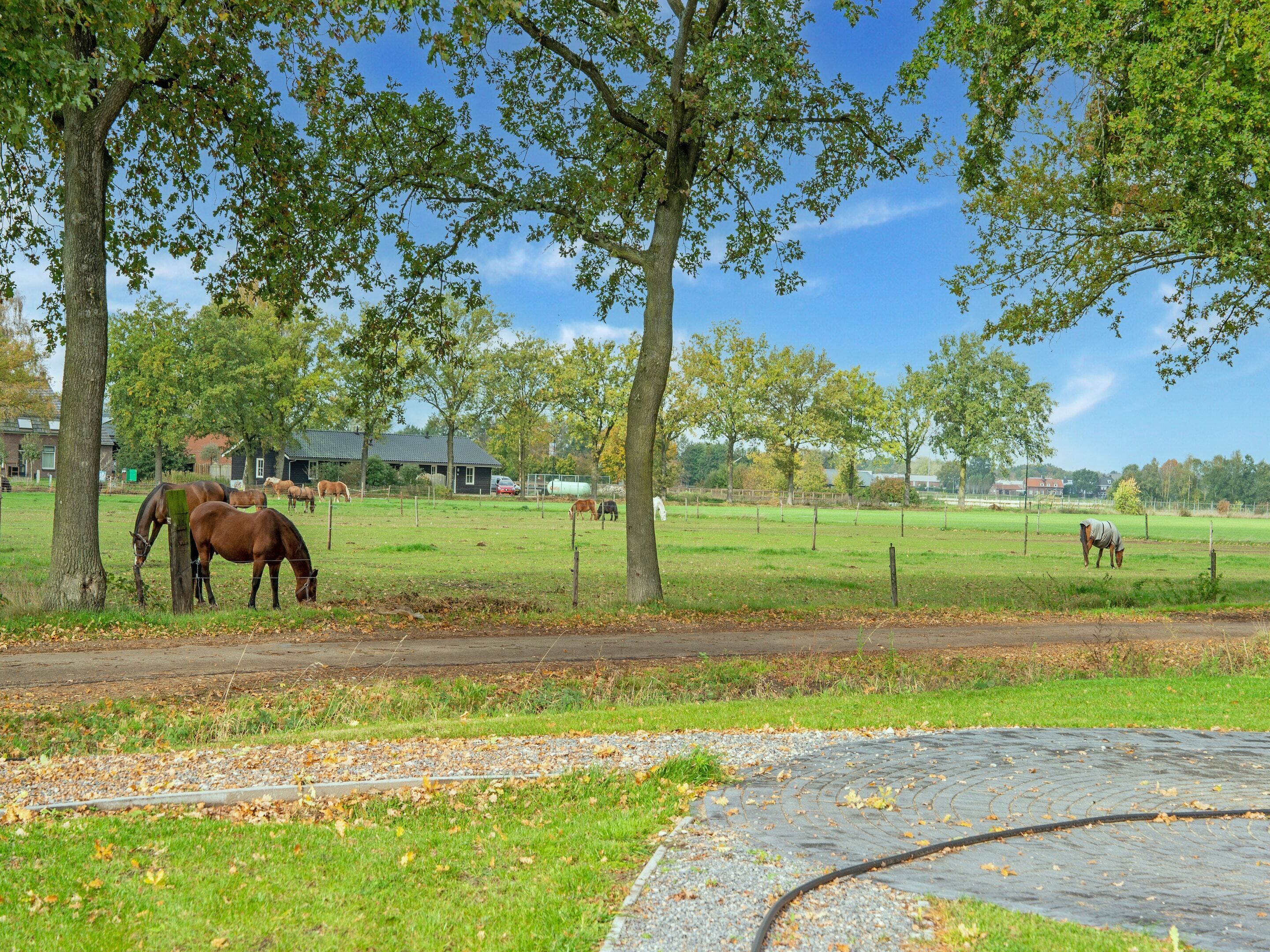 A rural landscape with horses grazing in a fenced field, surrounded by trees and a few buildings in the background.