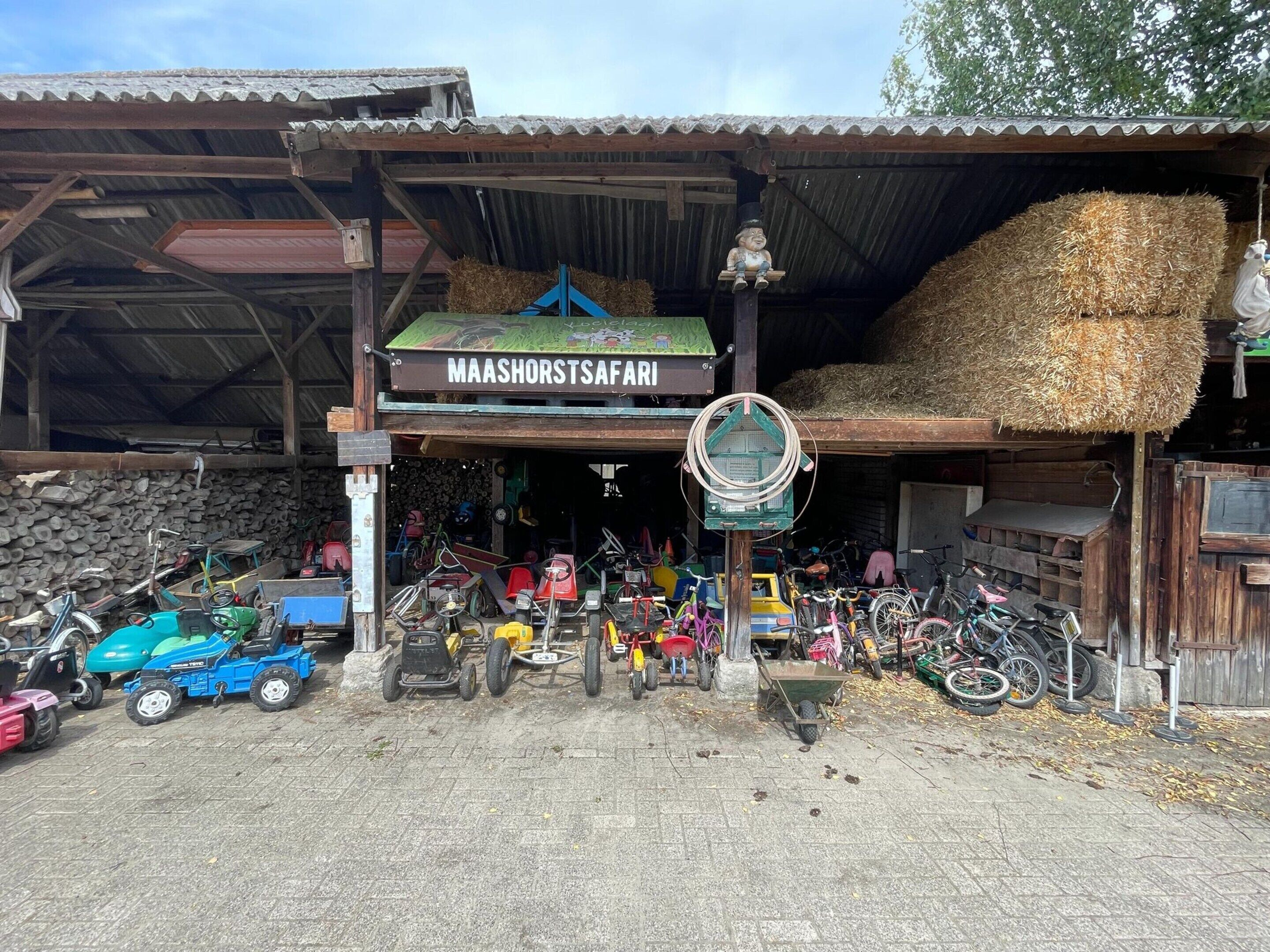 A rustic building with a sign reading "MAASHORSTSAFARI". Inside, hay bales are stacked, and various bicycles are parked outside.