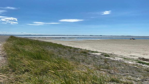 Ein Strand mit blauem Himmel und einem Weg zum Wasser.