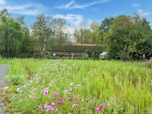 Maison | Vue depuis l’hébergement 