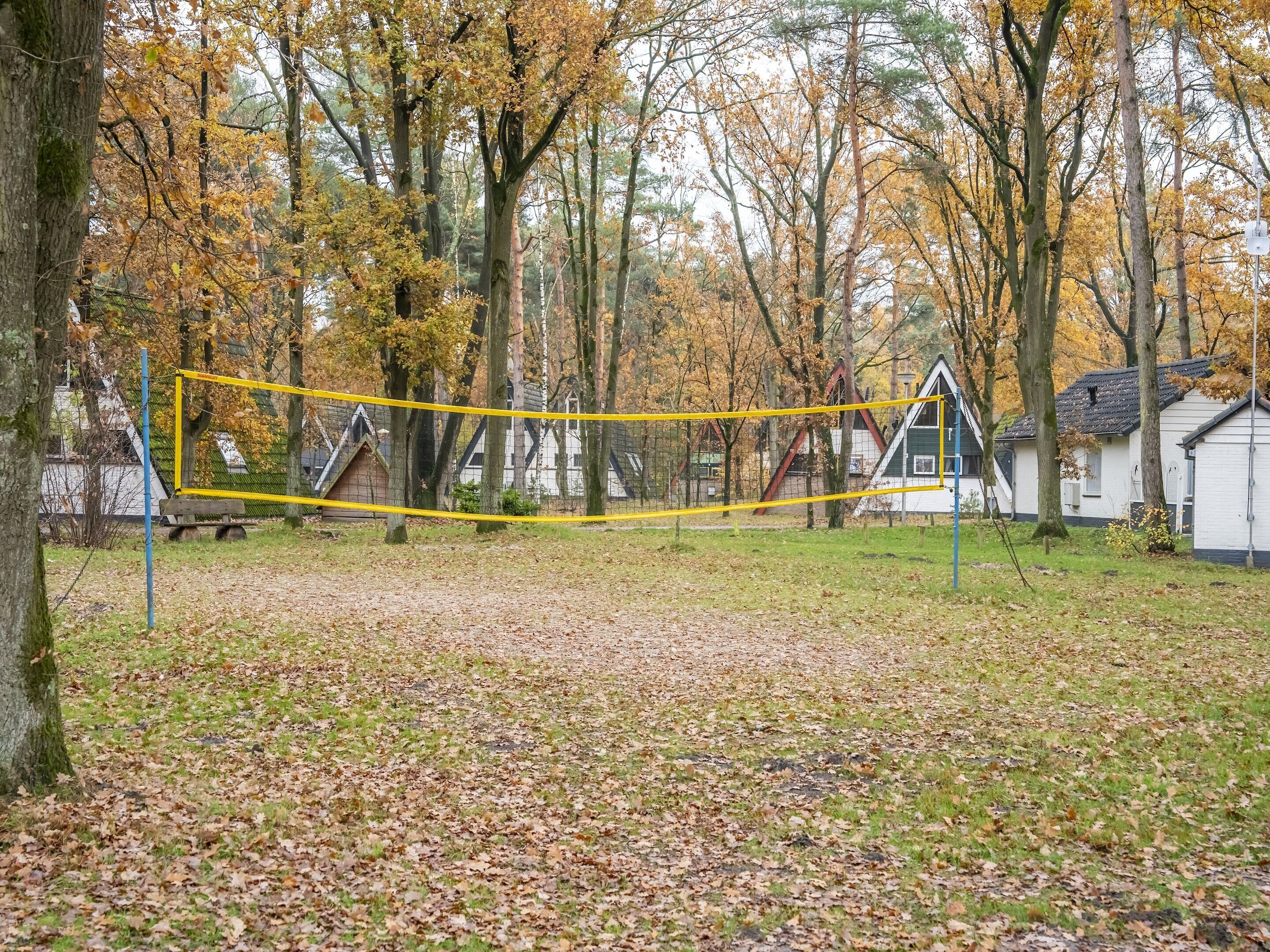 Uma rede de voleibol num parque com árvores e casas ao fundo.