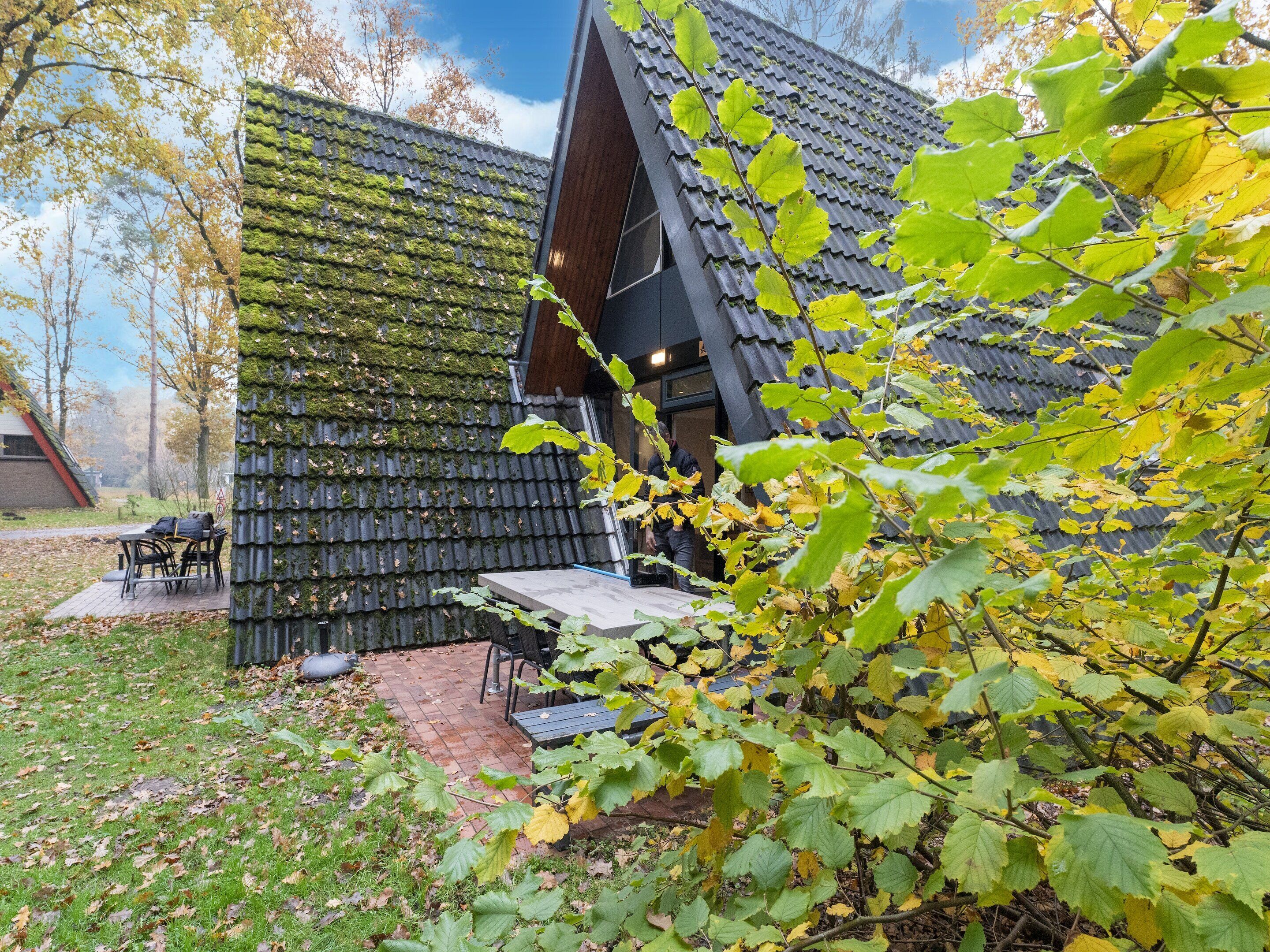 Un bâtiment moderne doté d’un toit en pente recouvert de verdure, d’un patio avec des espaces de détente en plein air et d’un environnement naturel.