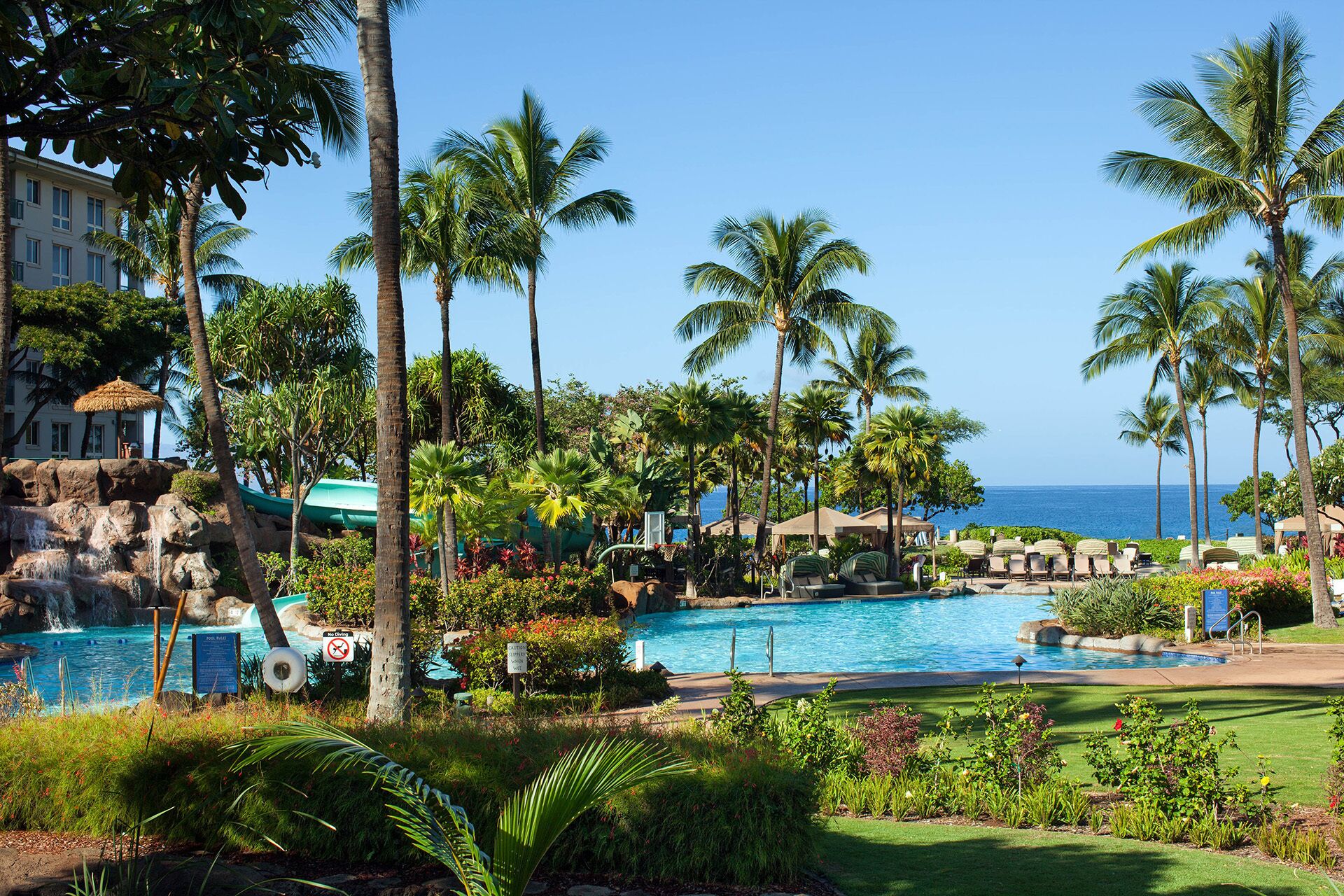 A resort pool area with palm trees, a waterfall, and a view of the ocean.