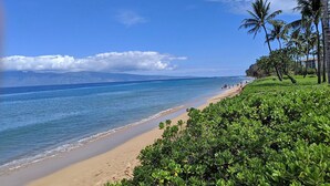 A beach with clear blue water, a sandy shore, and lush greenery.