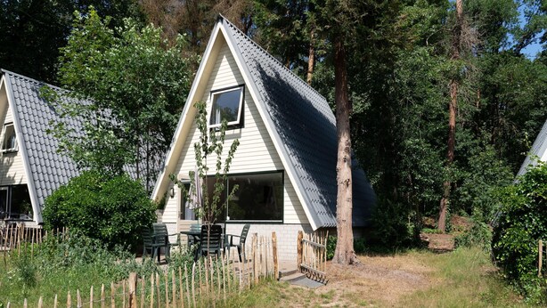 Uma casa pequena e térrea com telhado inclinado, cercada por uma vedação de madeira e árvores densas.
