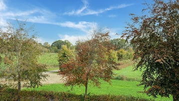 House | View from property