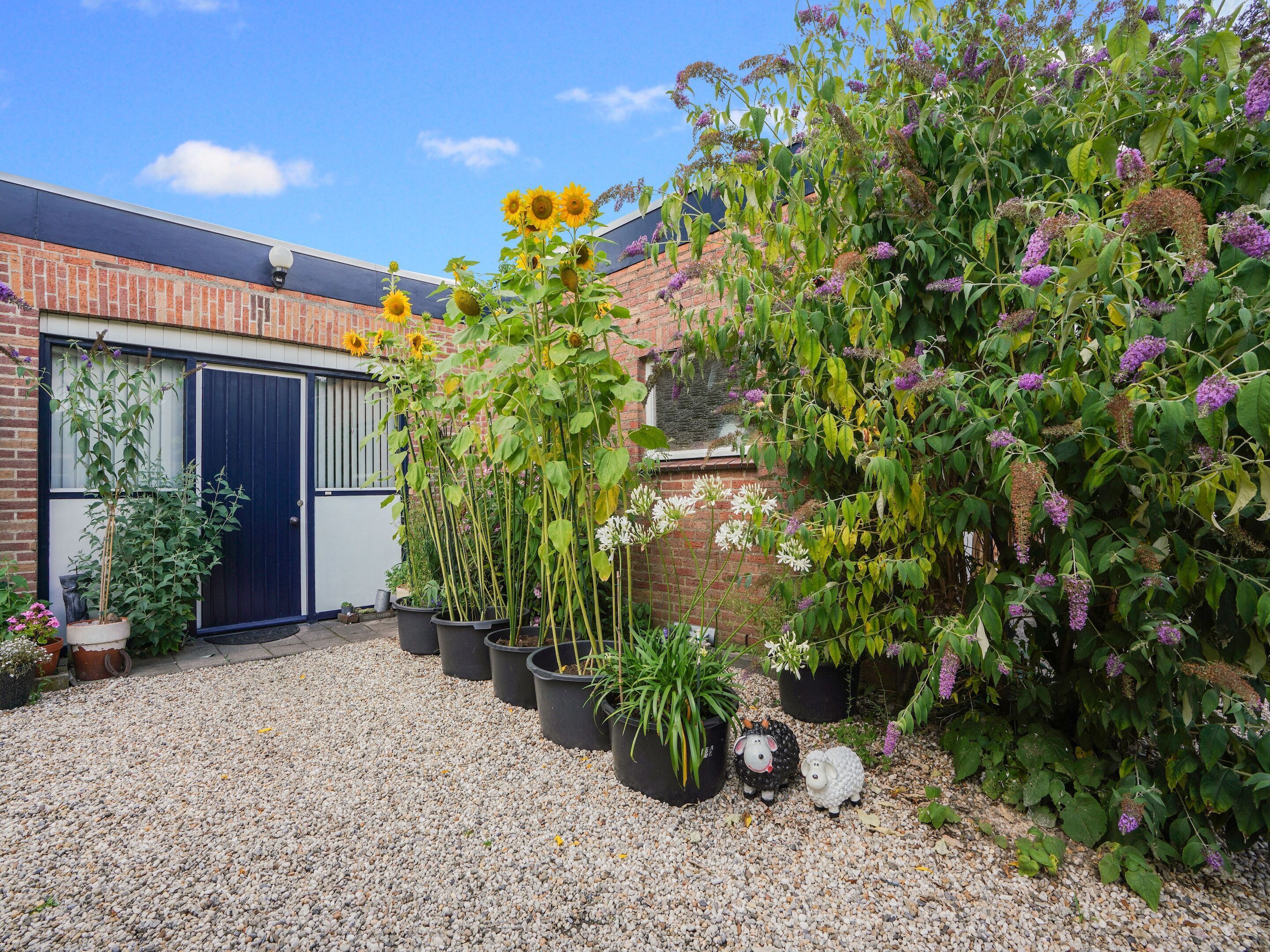 Bungalow | Property grounds