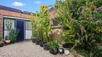 Bungalow | Property grounds